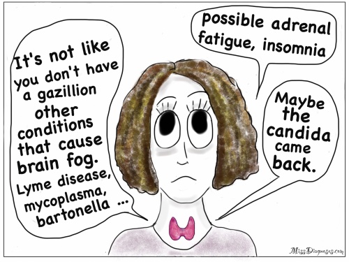 My thyroid names all the other conditions that cause brain fog like Lyme and bartonella