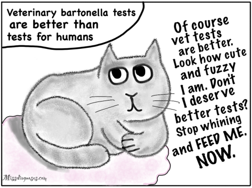 Cat says it deserves better testing because it is cuter than I am