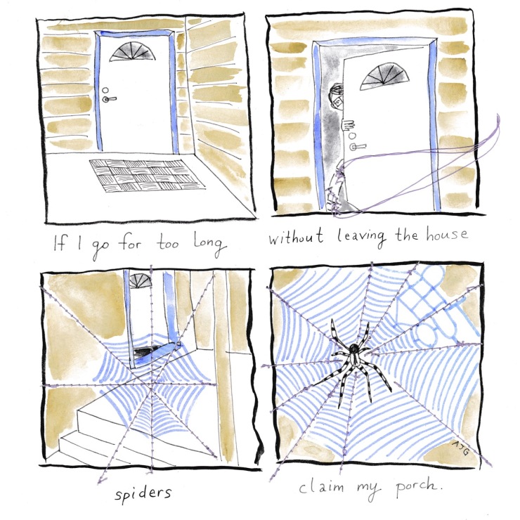 Alyssa spiders claim my porch